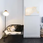 Suite Cesar