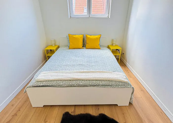 Modern 1Br & 1Lr Apartment, 10 Min Walk To City Center