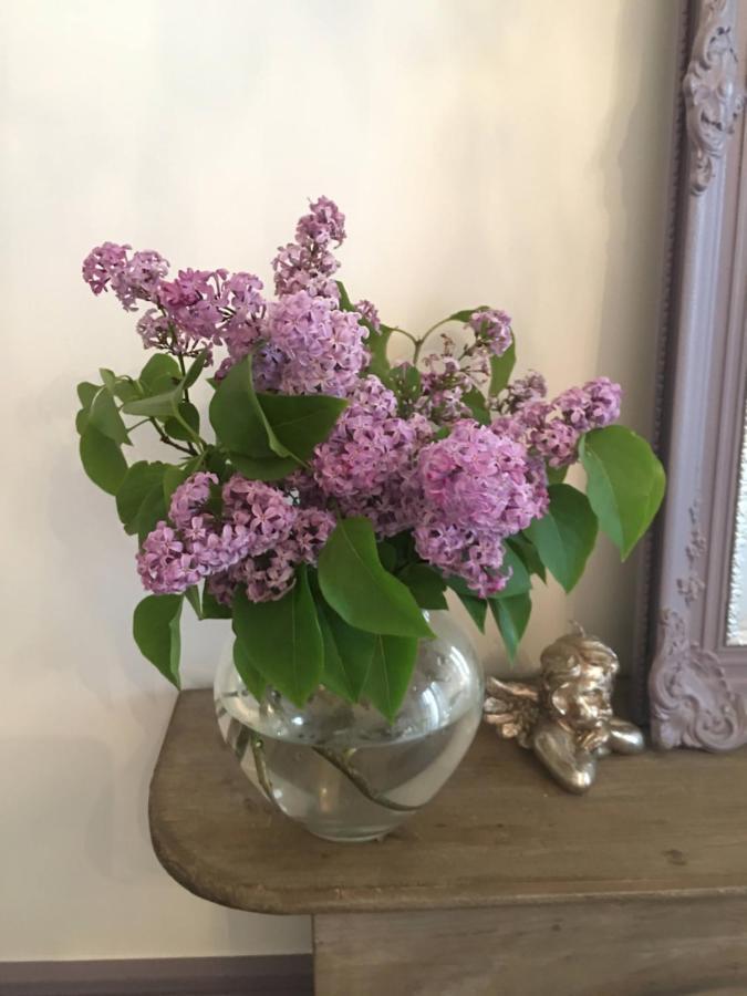 Petit Prince, Bed & Breakfast Ghent