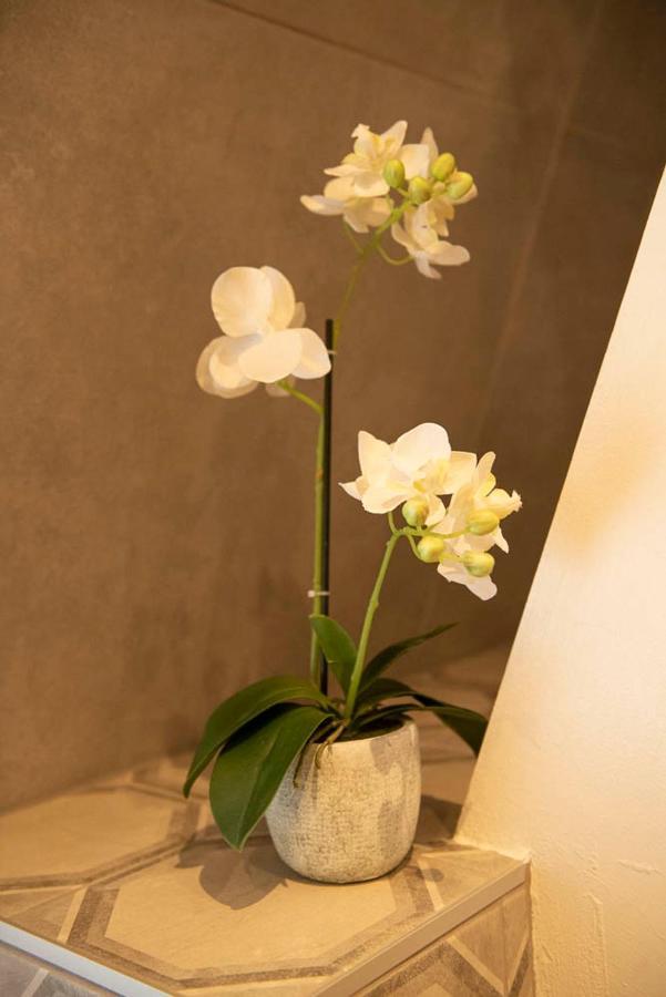 Beautiful Center In Near Medieval Castle Appartement