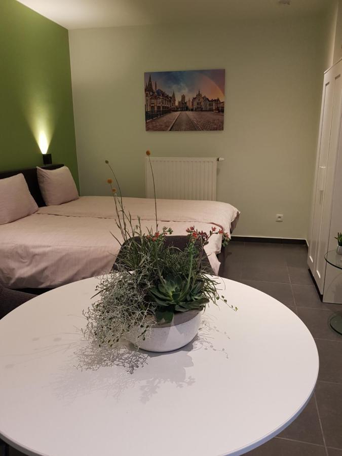Touristflat Dewulf Gante