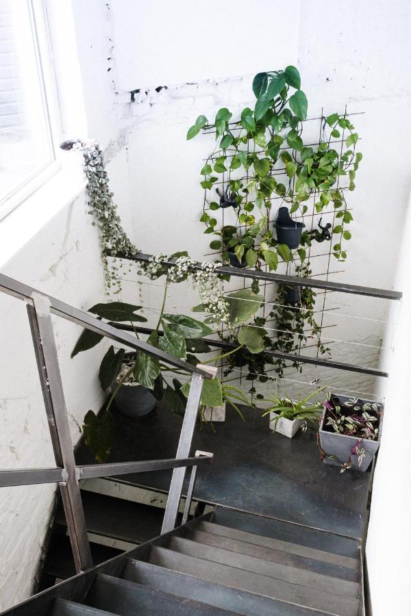 Architectural House Near Center - 20min Walk Vakantiehuis Gent