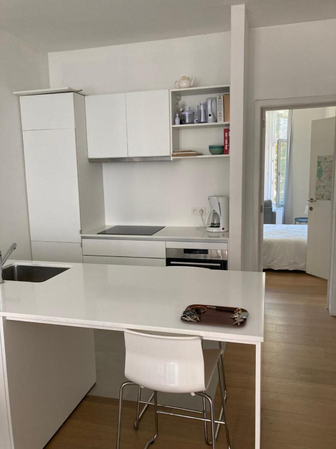Renovated With Terrace South Appartement