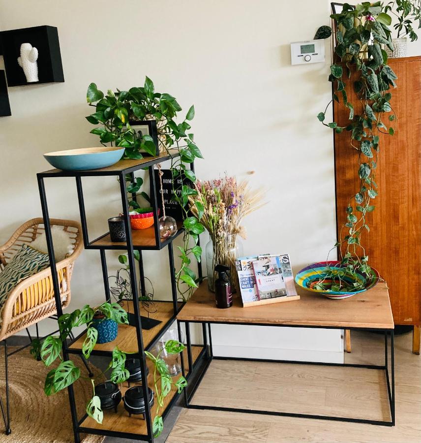 Cozy Two Bedroom Near Centre Apartment *