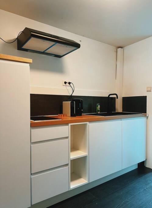 Historic Serenity Apartment Ghent