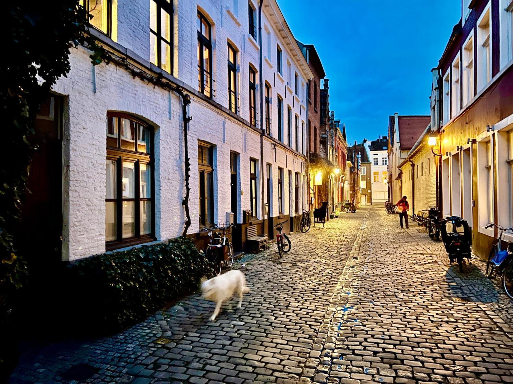 Heaven At 11, Your Deluxe With Personal Bathroom, Kitchenette & Terrace Ghent