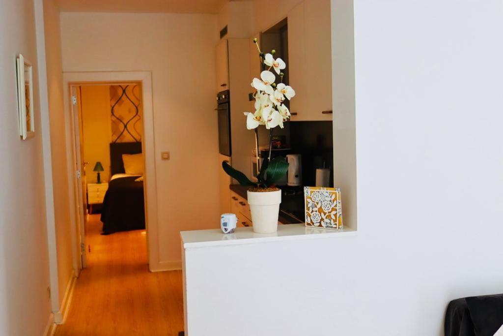 3c-apartments * Ghent