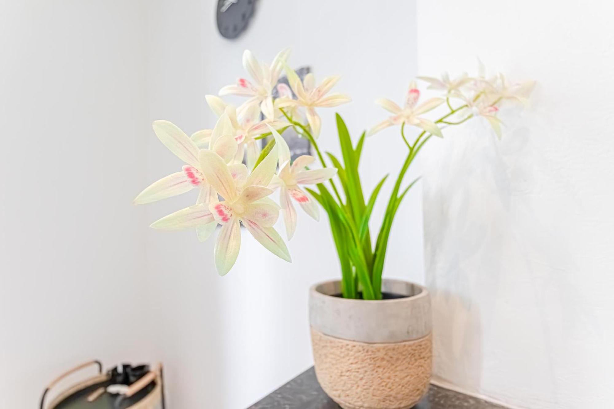 Spacious Shared 5br In The Heart Of Apartamento *