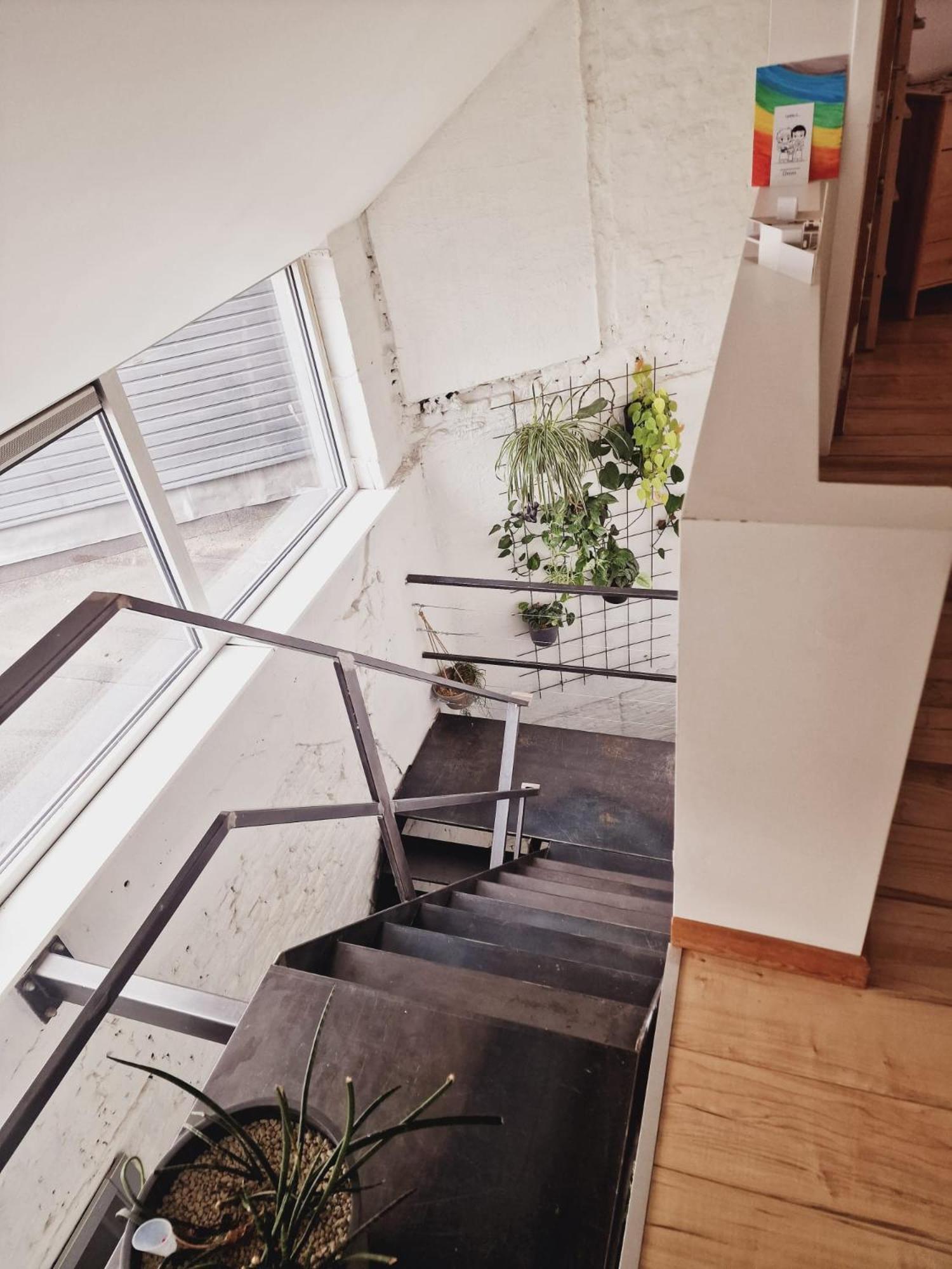 Architectural House Near City Center - 20min Walk *