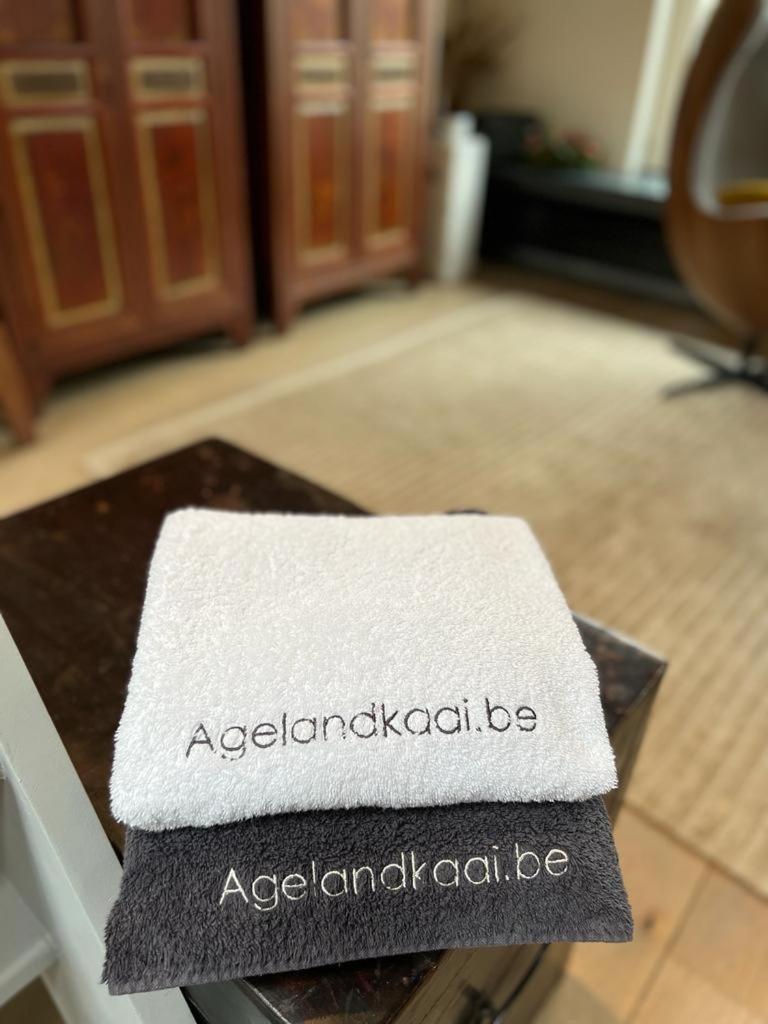 Apartment L'atique By Agelandkaai Be With Free Parking Ghent