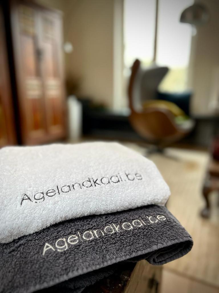 L'atique By Agelandkaai Be With Free Parking * Ghent