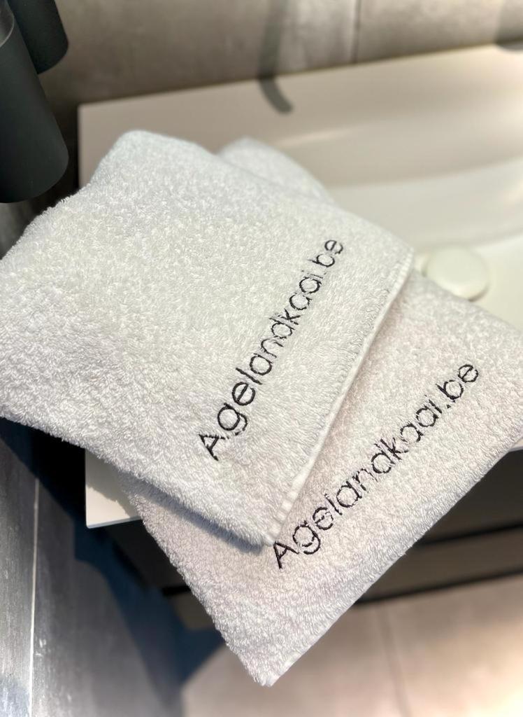 L'atique By Agelandkaai Be With Free Parking Apartment Ghent