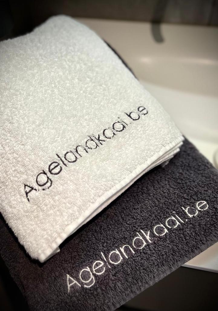 L'atique By Agelandkaai Be With Free Parking Ghent