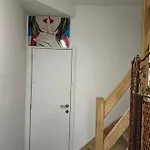 Dokstudio50