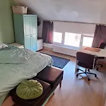 Cozy House