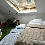 Lightful Architectural House