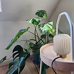 Studio En Gante