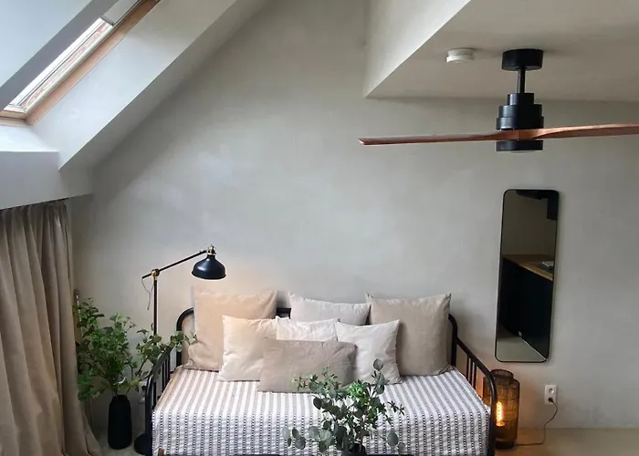 Edville Studio