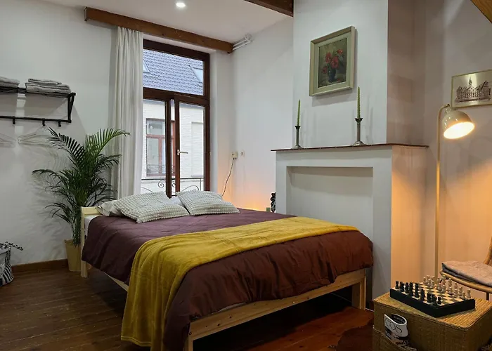 Luxury 2Br 1Lr Apt, 14Min Walk To St Bavo Cathedral