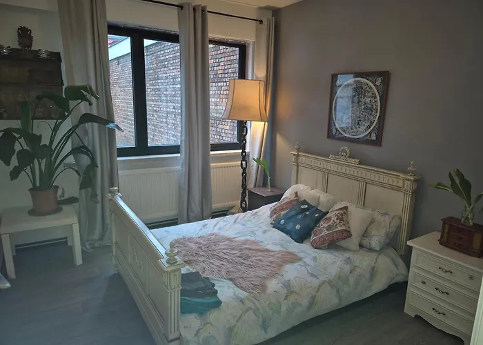 Gent\'S Accomodations For Short And Middle Long Stay