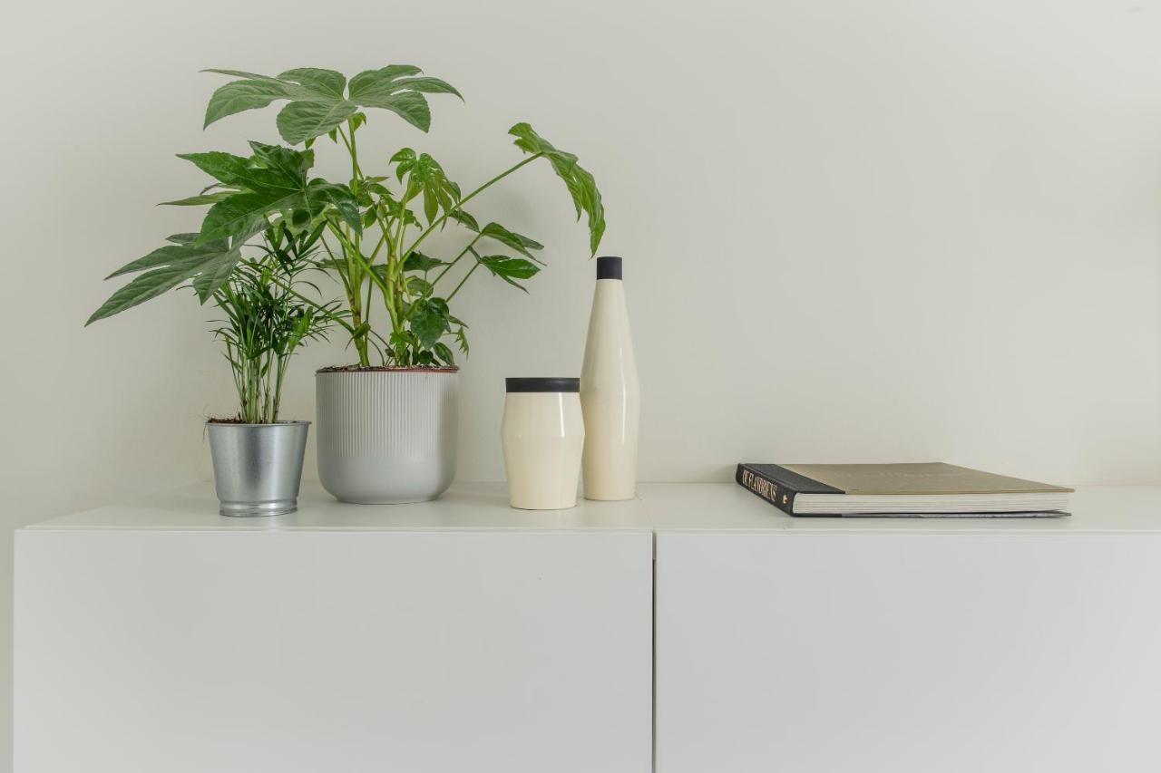 Trendy As Base To Discover Apartment