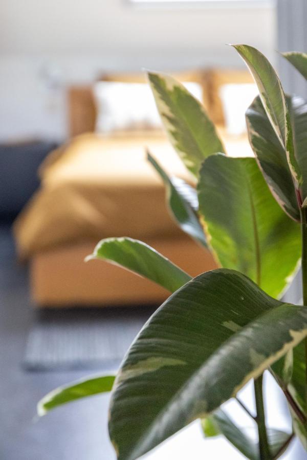 Apartamento Spiegelhof Gante