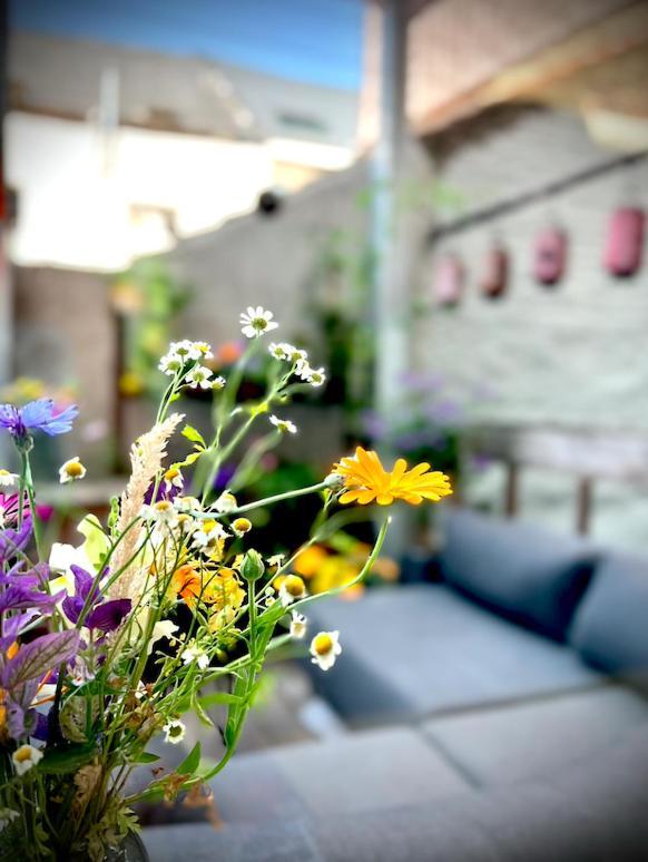 La Belletage By Agelandkaai Be With Free Parking Apartment Ghent