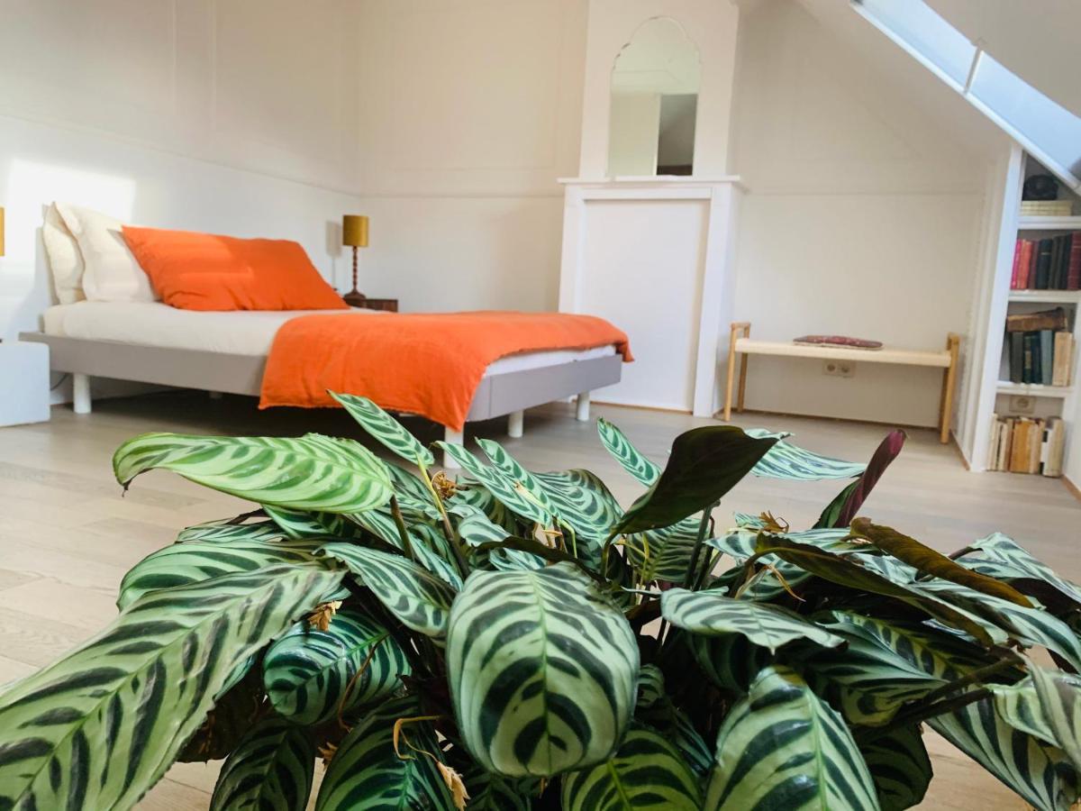 Maison D'artiste Gent