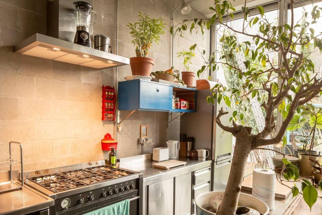 Mari's: Multifunctional Shelter With Big Garden Ghent