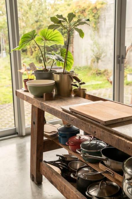 Mari's: Multifunctional Shelter With Big Garden Ghent