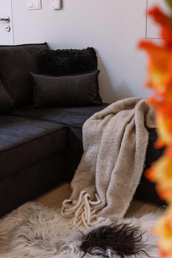 Renovated In The Heart Of Ghent