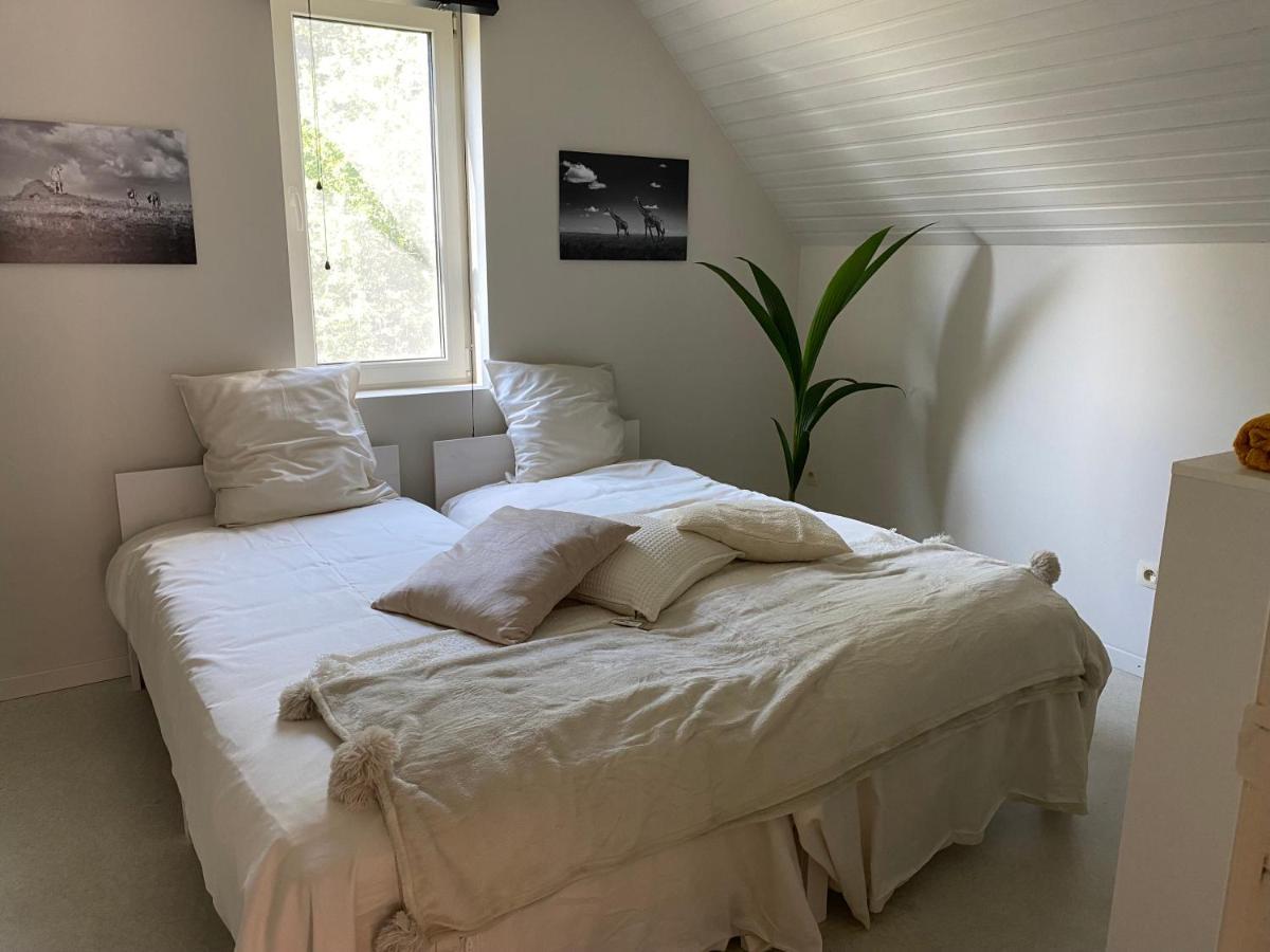 Bed & Breakfast Maison Blanche