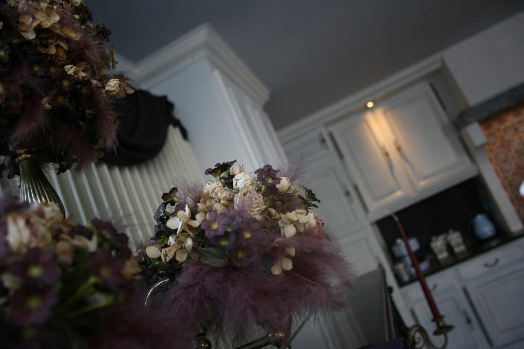 Casa Lucinda * Gent