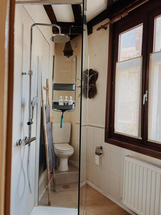 Romantic Unesco Medieval House In The Center Apartment Ghent