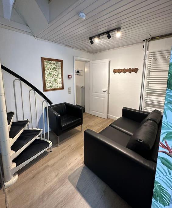 Large Quiet Whole House Near Historic Centre