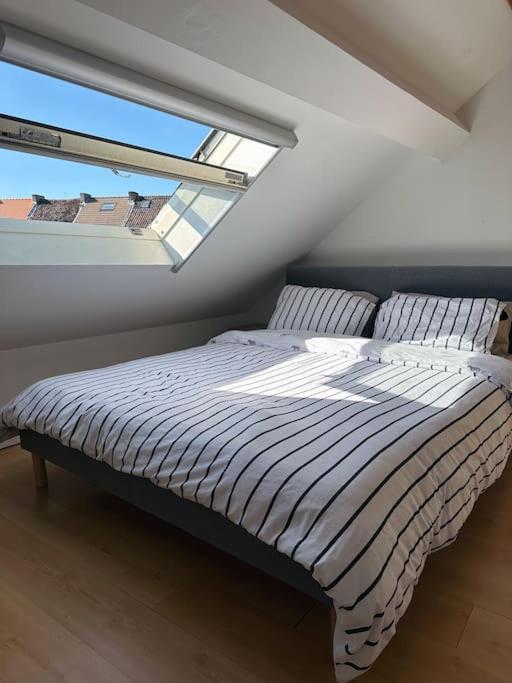 Villa Large Quiet Whole House Near Historic Centre Gent