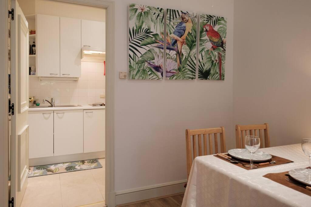 Apartment New Haven @mayflower *