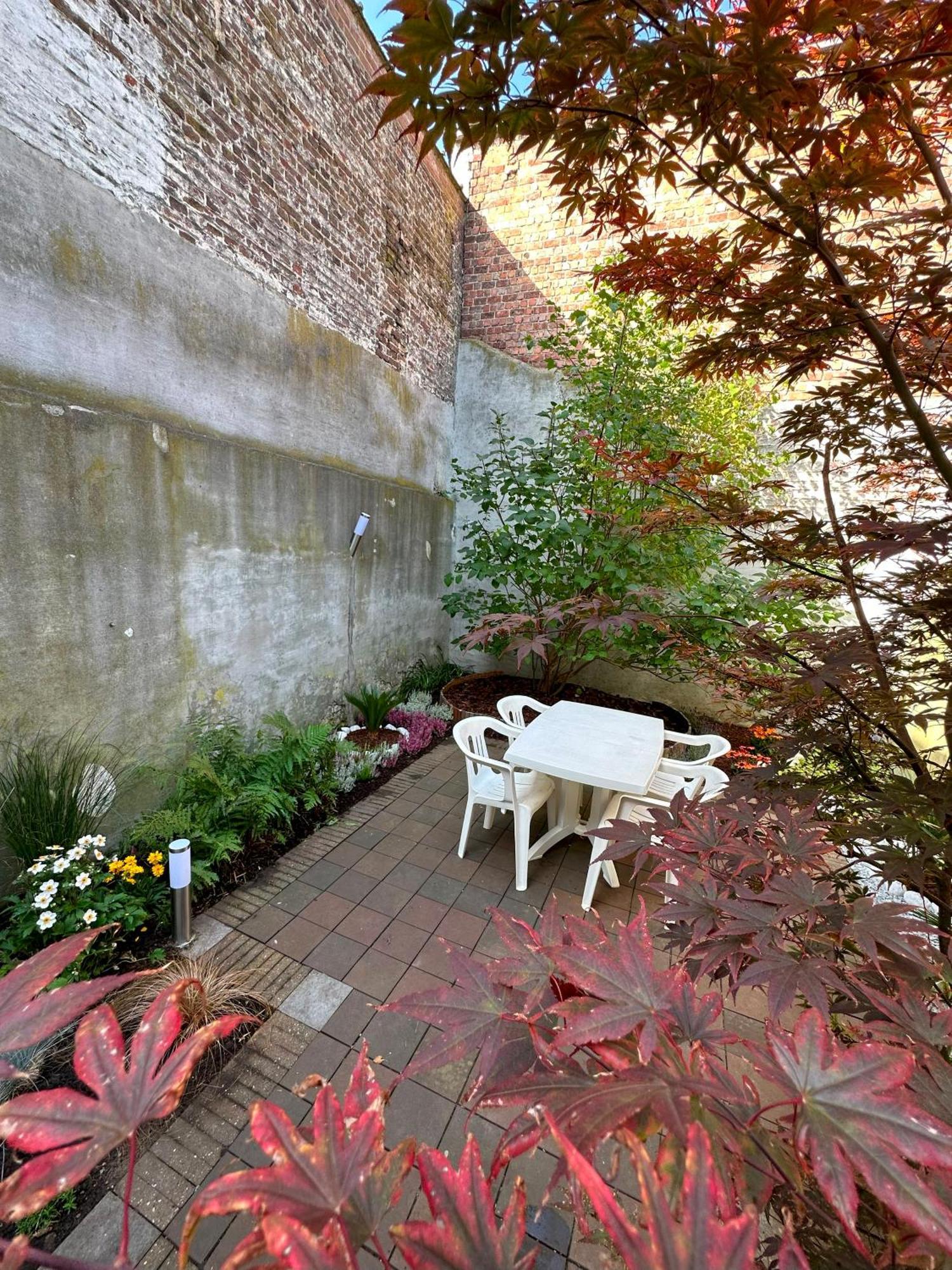Large Quiet Whole House Near Historic Centre *
