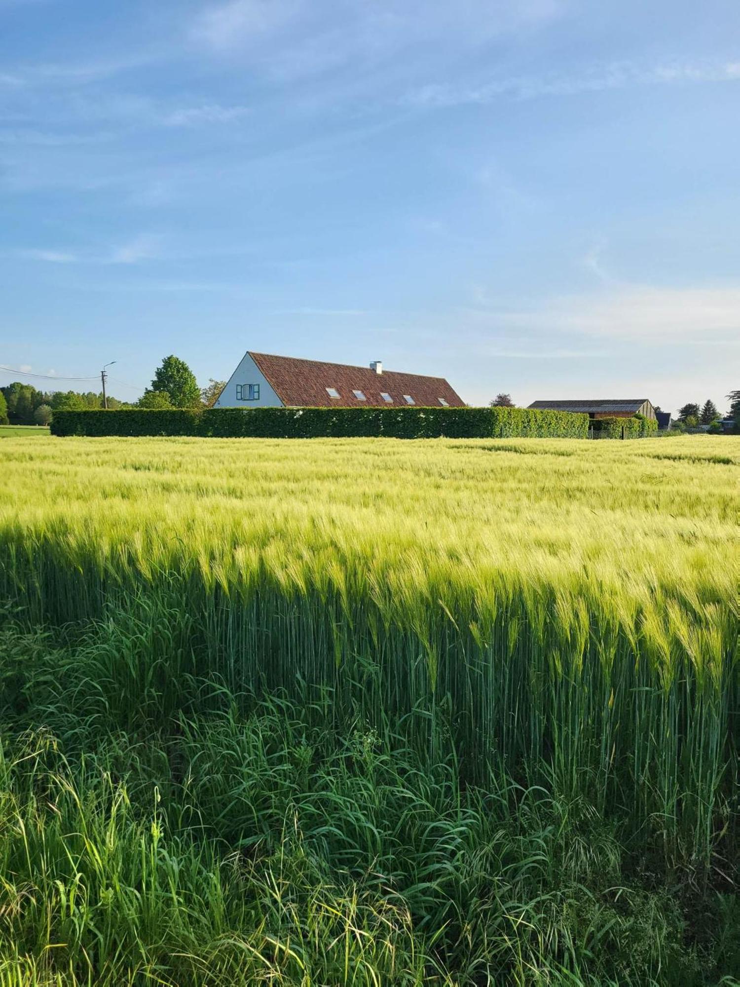 Villazzo Country house Ghent