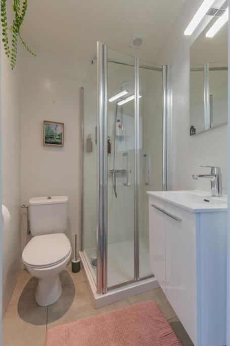 Apartment Cosy Duplex Nearby Centre Of For 6 Ghent
