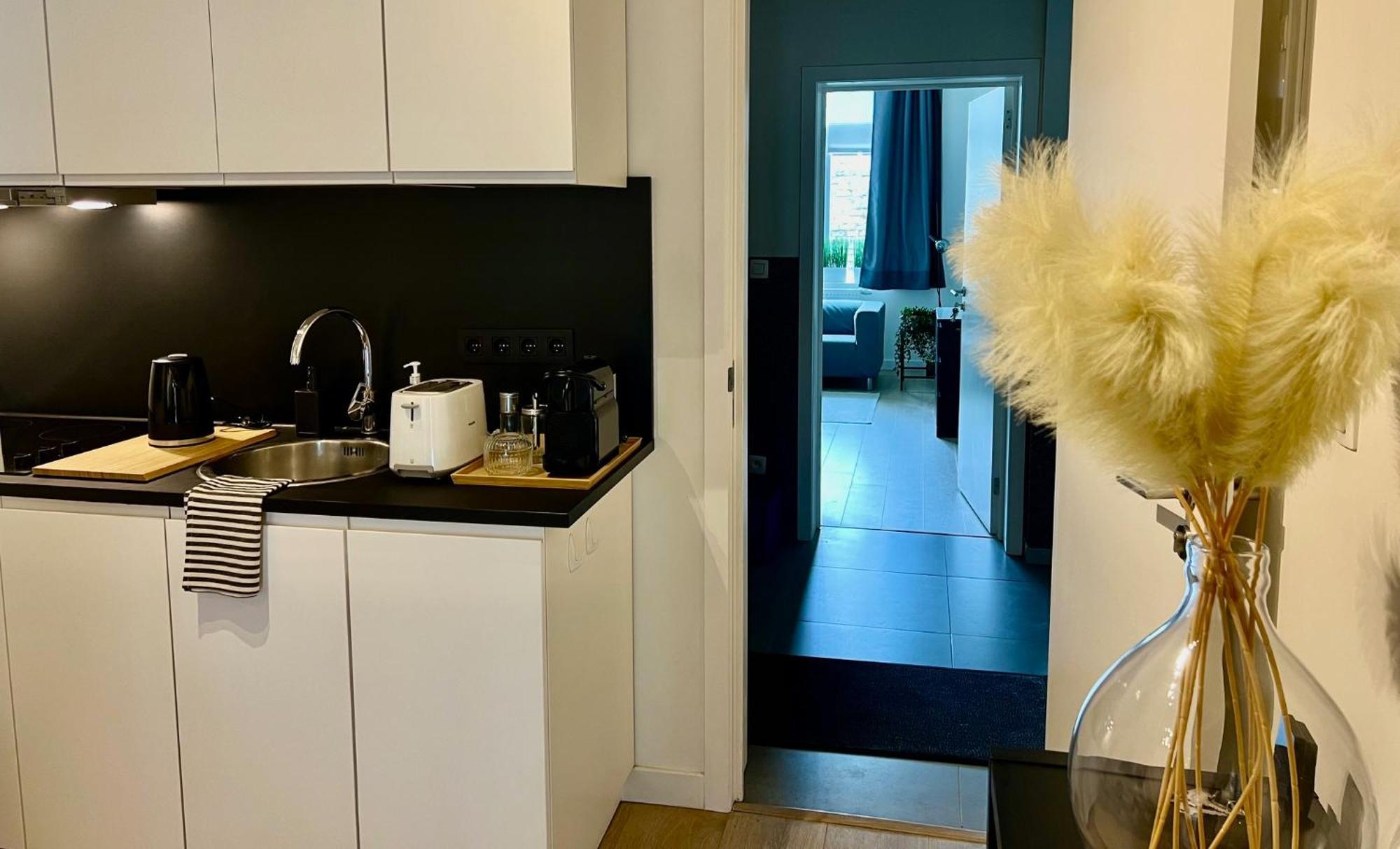 Apartment 3 Bedroom With Own Garden Close To Main Trainstation *