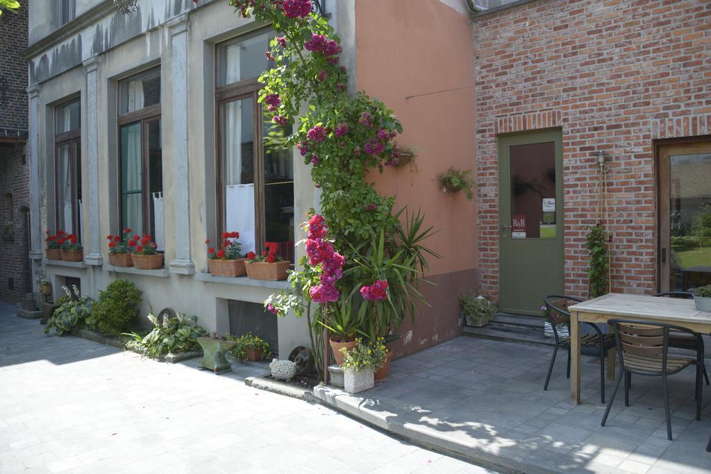 Absolute Guest house *