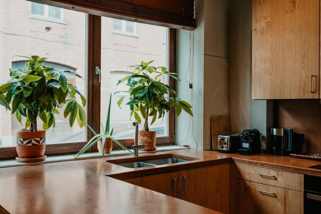 3-br Suburban Retreat *