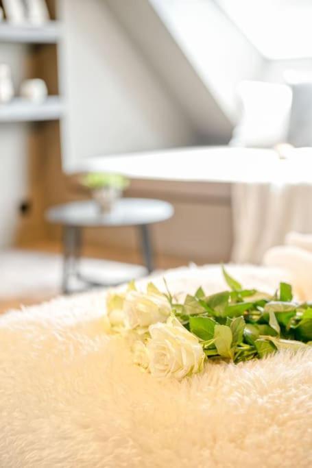 Apartment Charming Attic Retreat In Historic Center