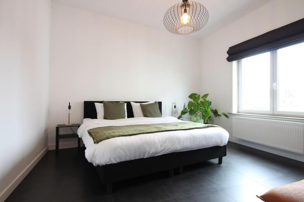 Urban Oasis Apartment