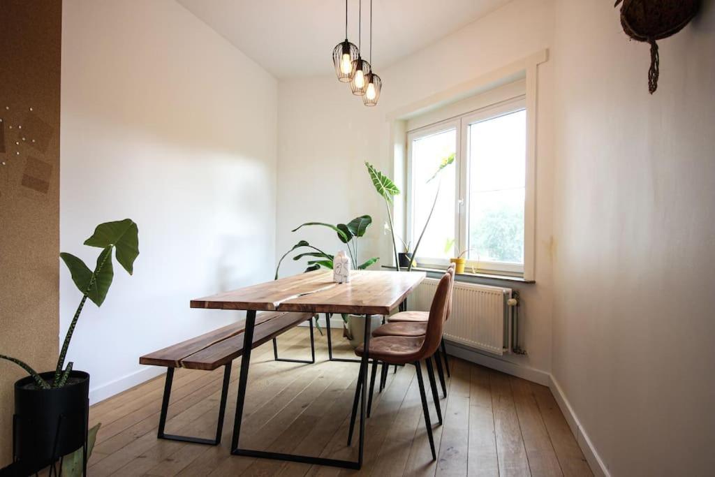 Urban Oasis Ghent