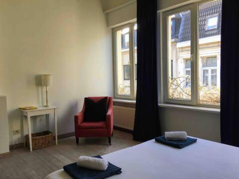 Spacious Duplex With Terrace In The Middle Of The Center Gante