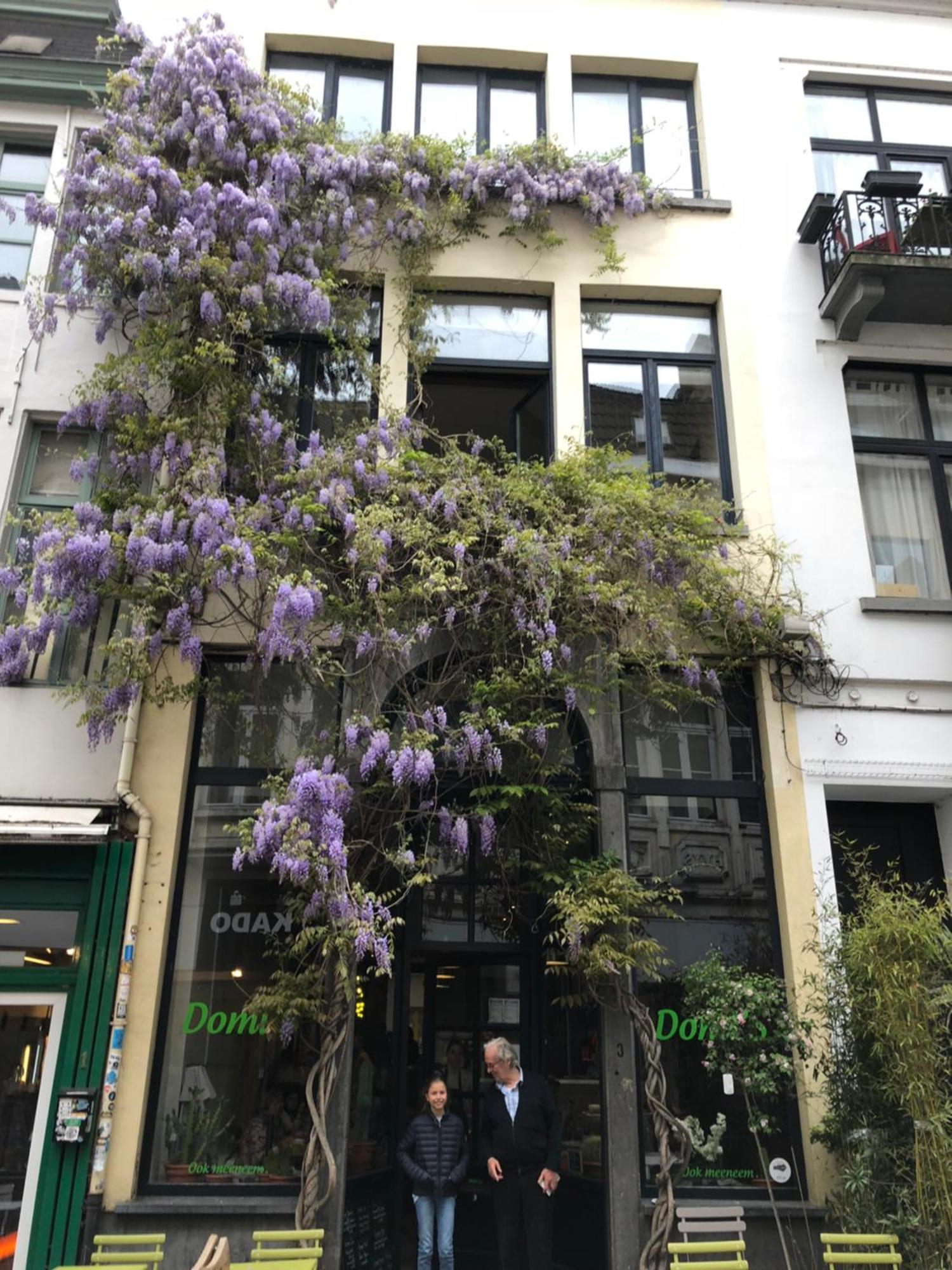 Spacious Duplex With Terrace In The Middle Of The Center Apartment *