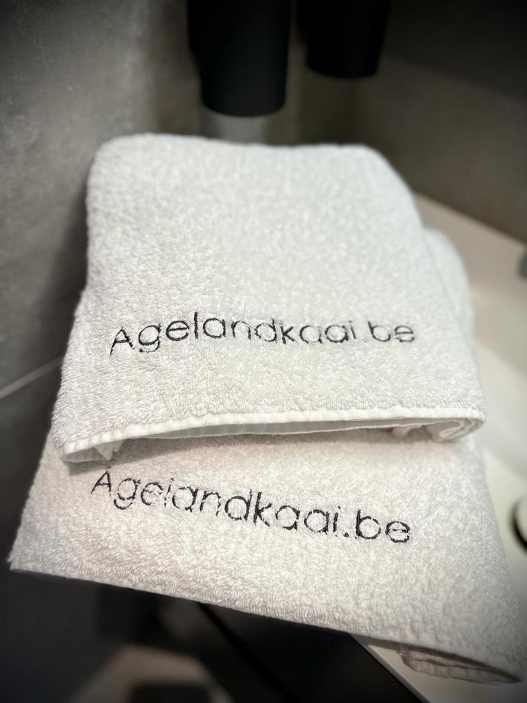 Apartment L'atique By Agelandkaai Be With Free Parking *