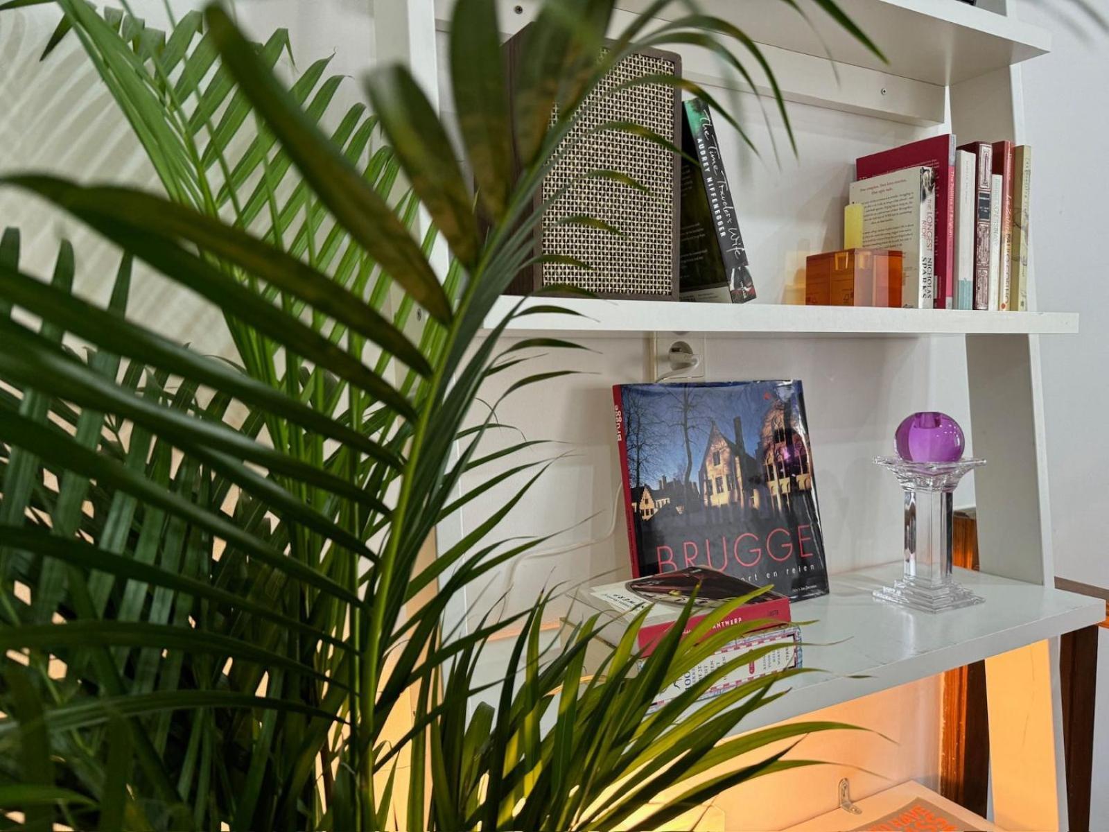 Apartment 3-person Cozy Place In The Center Of